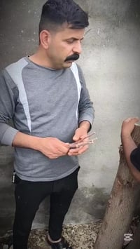 الي يريد تطعيم اشجار النبك يتواصل  07887457555