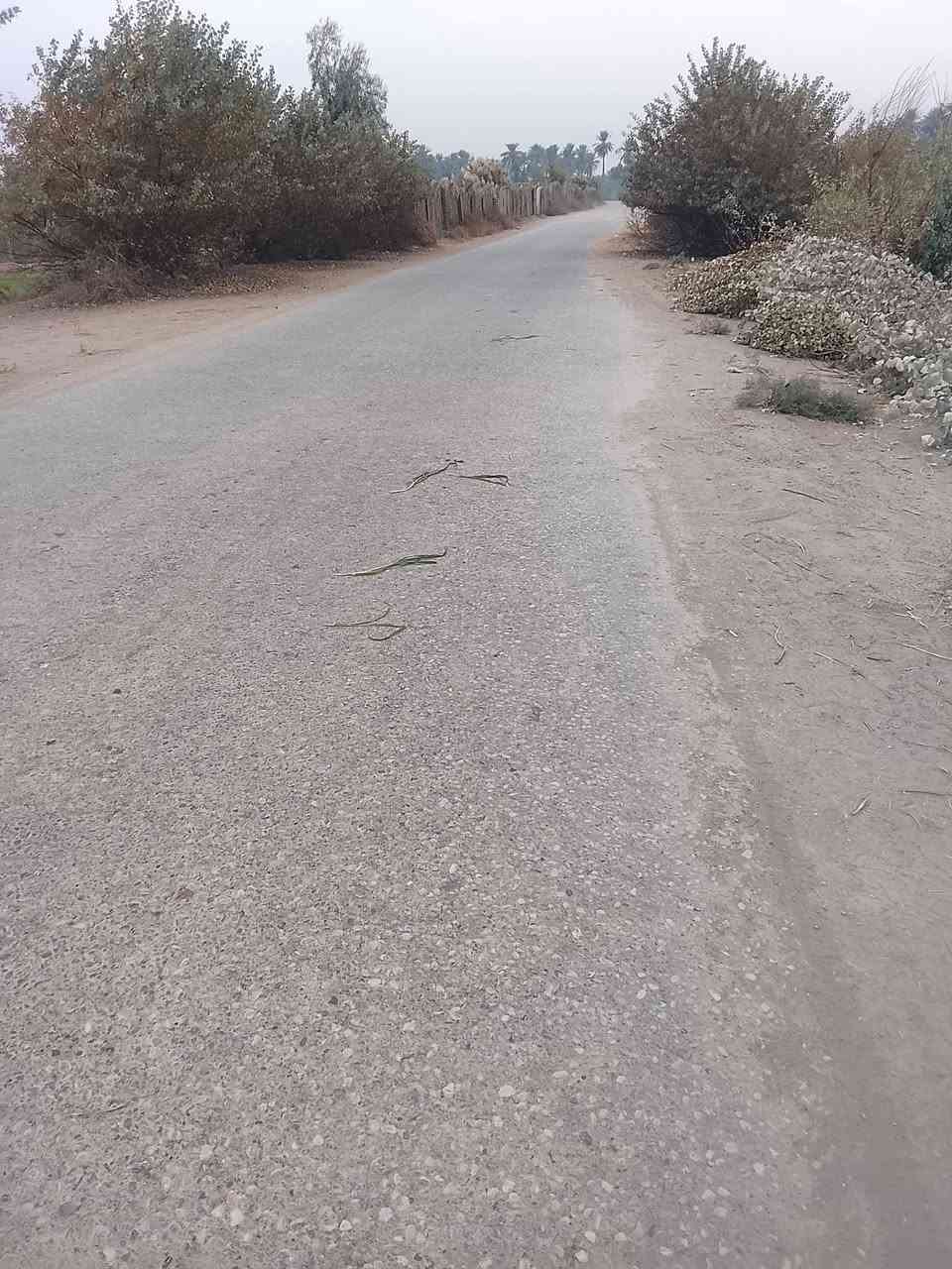 ارض زراعيه للبيع مساحه ١٠ تبعد عن الشارع العام حله ديوانيه ٤كليو منطقه الجذع تتوفر فيها جميع الخدمات للاتصال أو الاستفسار ***********
