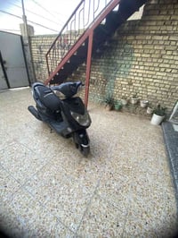 سكنس فحل • ياباني • نفخ