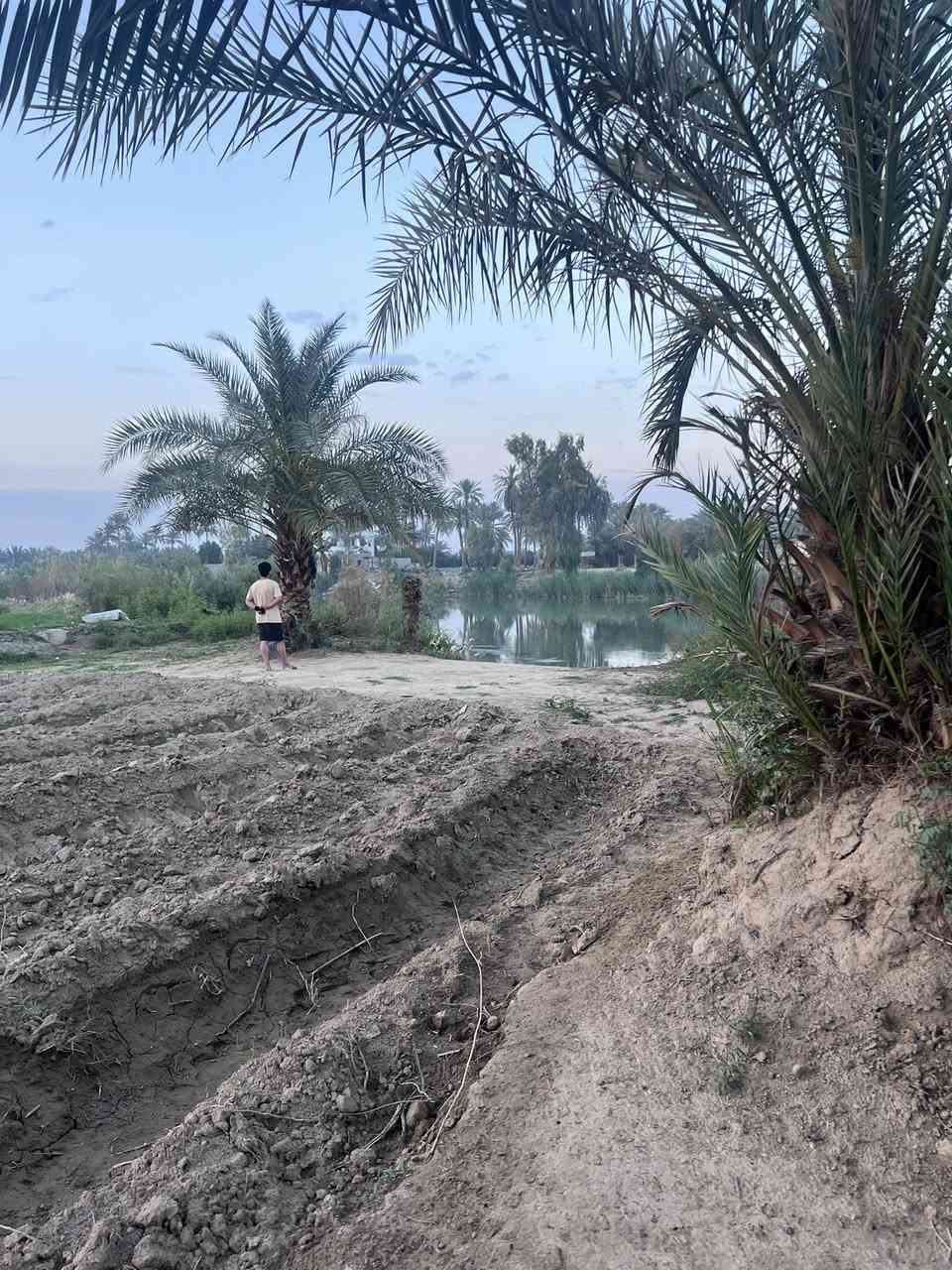 السلام عليكم
عقار  قطعة ارض   موقع مميز
ترهم مزرعه او مسكن. بيها بتلو مساحة البتلو280  وبيها نخل اكثر من52 نخلة  نوع النخل الوان متعدده  المساحة 2 دونم
واجهية  الارض25متر والنزال  209
تبعد عن الشارع العام 300متر 
موقع الارض: بابل النخيلة الغريبه 
قرب الامام الخضر. (ع)
الاستفسار اكثر. مراسلة الصفحة 
او الاتصال ع الرقم:***********
