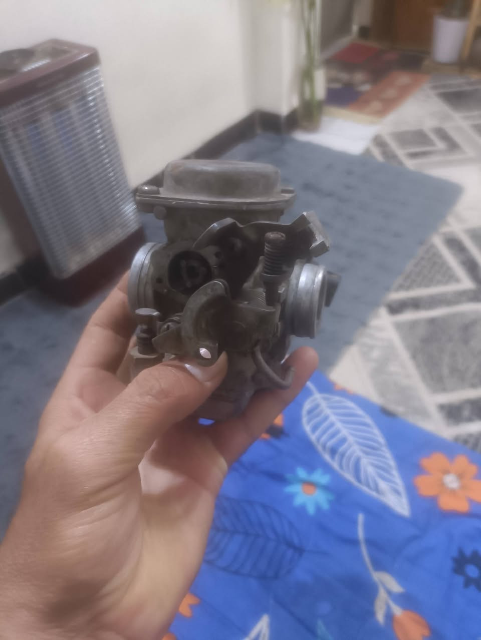 كابريتر ثعلب طوف سعره 20مكاني ابو دشير ***********
