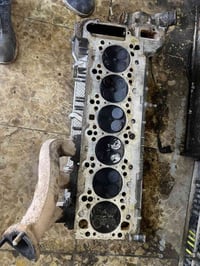 كور ٥٢٥ • جديد • بدون فطر