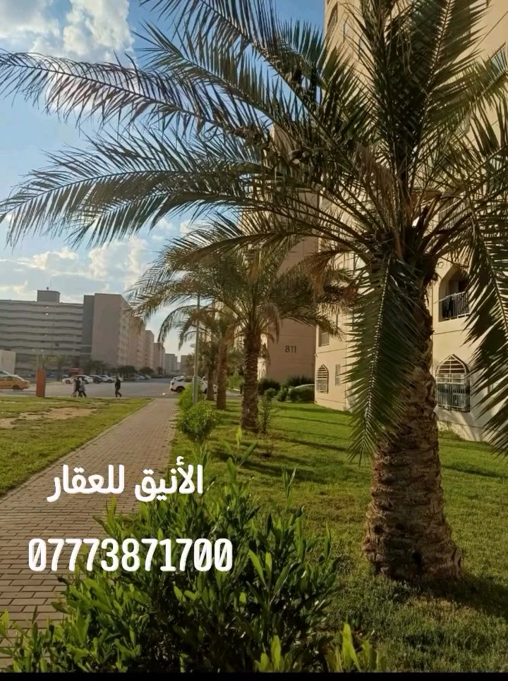 شقة للايجار... 🏠
100 م شرقي
بلوك A3
طابق 5
الإيجار 500  بدونالخدمات  +  دلاليه 
تتطلع بيها موافقة / فارغة وجاهزة للسكن
يوجد فيديو للشقة 
الاستفسار الاتصال على الرقم أو واتساب وبالخدمة
🔹 ــــــــــــــــــ *********** ــــــــــــــــــــــــ 🔹
&&&&&&&&&&&&&&&&&&&&&&&&&&&&&&&&&

🏠..  شقة للايجار... 🏠
120 م غربي 
بلوك B3 
طابق 7
مؤثثة وجاهزة للسكن 
الإيجار  650 مع الخدمات  + دلالية
يوجد فيديو للشقة 
الاستفسار الاتصال على الرقم او واتساب وبالخدمة 
🔸ـــــــــــــــ  ***********  🔸________________
