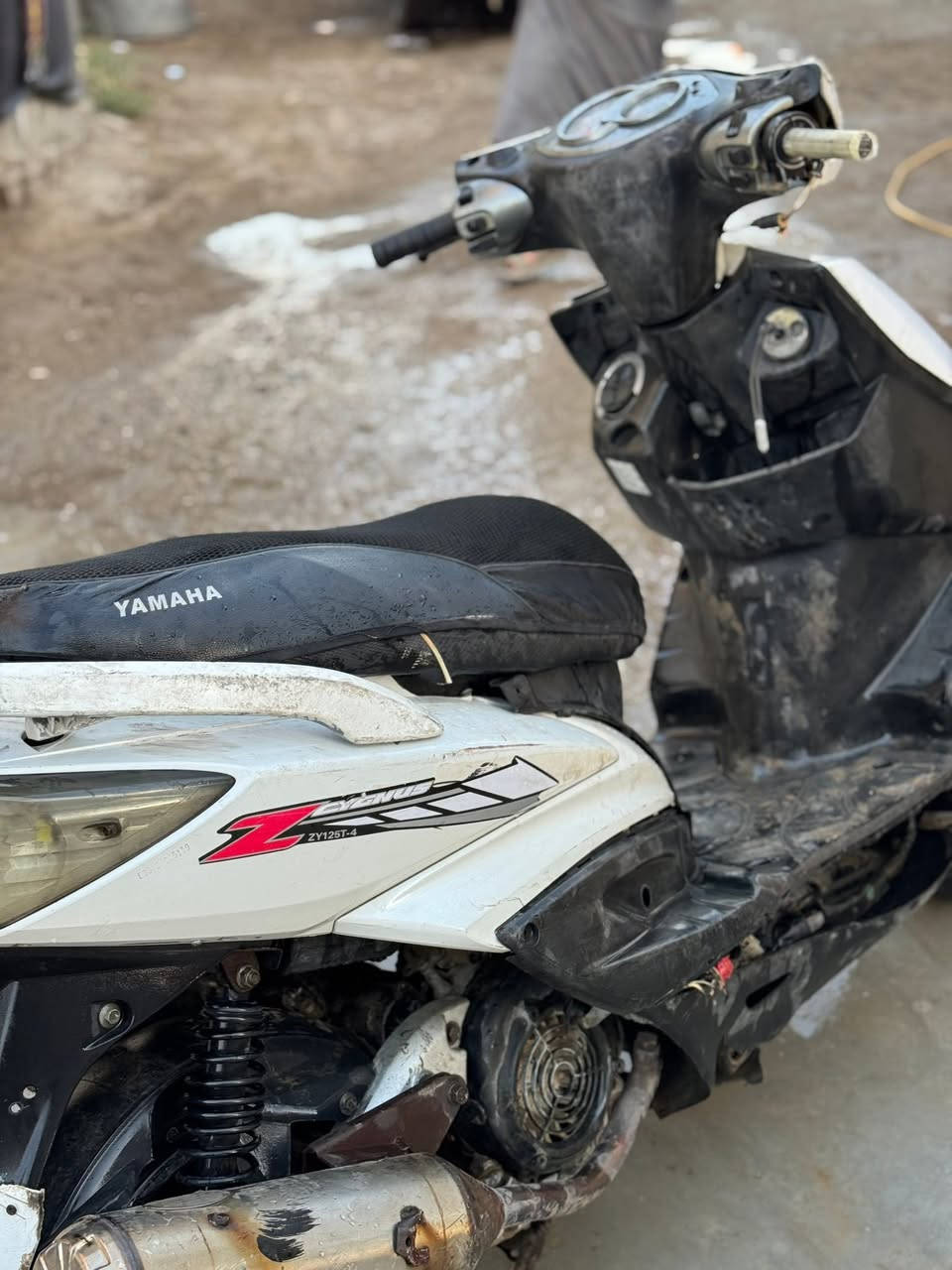 سكنس فحل دراجه نضيفه ومكينه خير من الله دارجه حلوه سعر 500 وبيه مجال بيه نقص فقط البوشه مال الهندر ام تشغل نكره سلف تشتغل مكان بعقوبه الجديده *********** حتلو مراوس بكير عادي اروس

