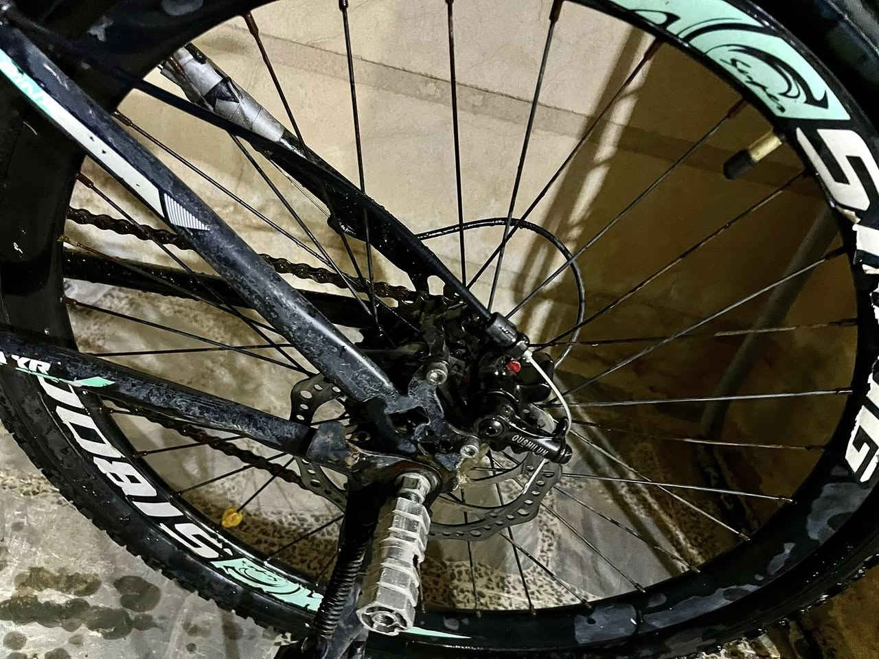 السلام عليكم دراجة هوائية 🚴‍♂️البيع من شركة كيمو العالمية بايسكل جداً ممتازة لي عطل مابيه ايريك امامي خلفي دبل امامي خلفي تايرات جدد السعر 75وبي مجال اي استفسار اتصل على ***********موجود فيس وتساب
