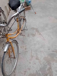 بايسكل ياباني • كركوك • حي نصر