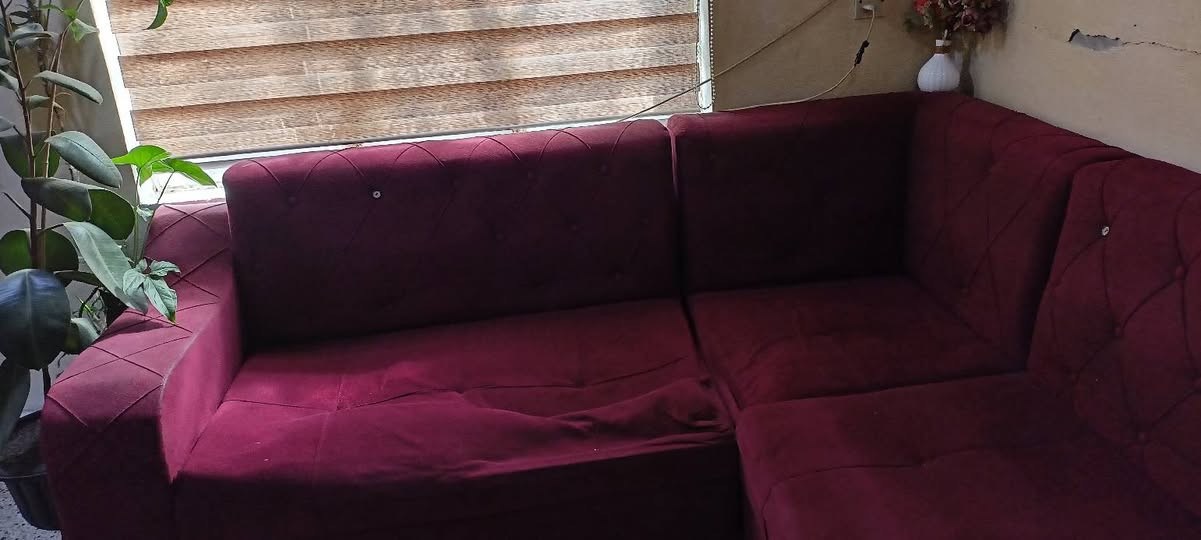 طخم ديوان للبيع السعر ١٠٠


**إذا كنت صاحب هذا الإعلان وتريد حذفه لأي سبب، رجاءا أرسل رسالة إلى الدعم الفني**