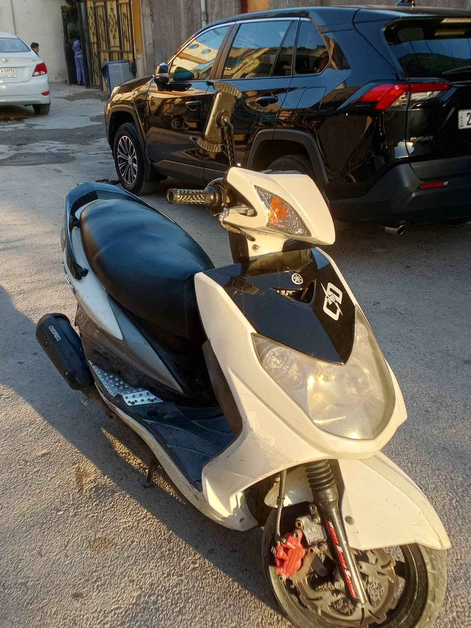 سكنس فحل لبيع مكاني بغداد ***********
