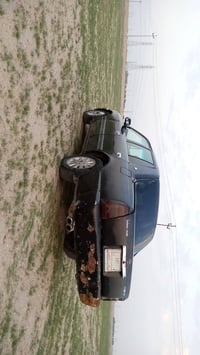 كراون كامفور • ٢٠٠٠ • سفوان