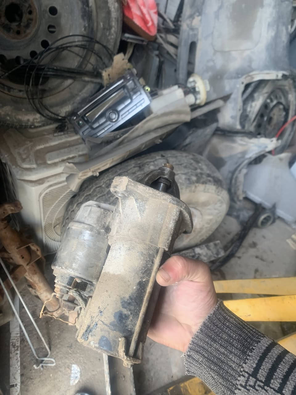 تفصيخ شتحتاج تصل وتدلل مكاني بغداد بديات ***********.   وعندي تخم ويل هوة وتايرة  ودعامية خلفية. وبيبان.  صفر أو تريد بيض كامل هنة وجامهن وبطاينهن
