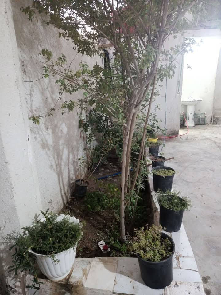 سلام عليكم بيت اللبيع في الو الخصيب طريق صحراء شارع المحكمه جديده فراع ابو دراي البيت طابقين يحتواي على اربع غراف ثنين فواك وثنين جوه أو حمام فواك أو هوال أو صطاح جبير طابق ارضي غرفتين أو حمامات ثنين أو مطابخ أو ديوان أو هوال جبير أو حديقه أو طارمه أو توليت أو منوار طابو زراعي  رقم تلفوان***********
