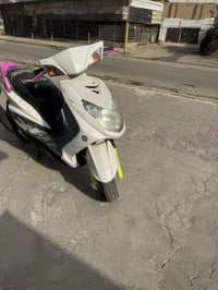 سكنز فحل كابريته مكان بغداد الشعله 650 السعر 07711024796
