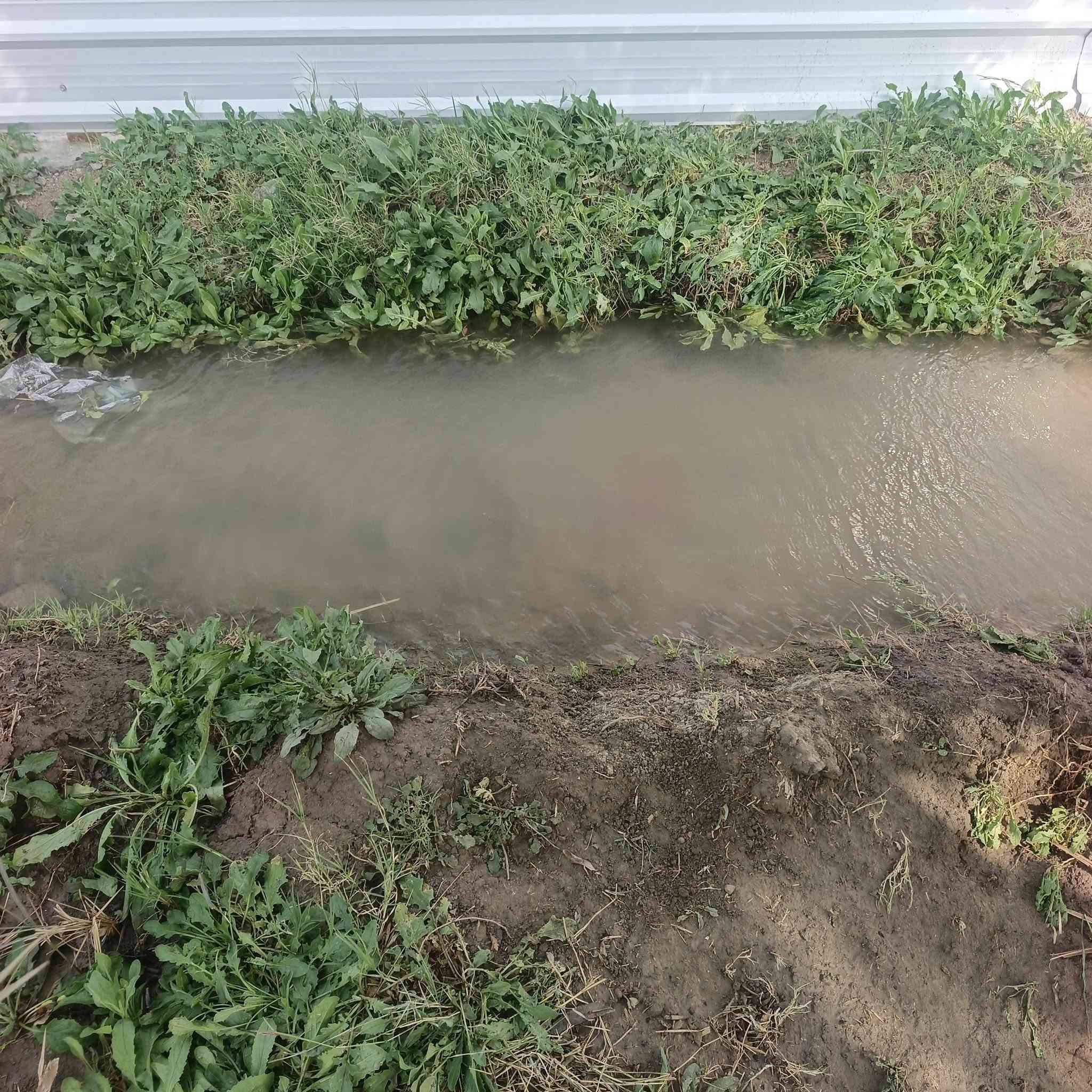 السلام عليكم ورحمة الله #2دونم #للمراوس #بسيارة حديثة واجهة 50ونزال 100تصلح مزرعة اوسكن  تبعد عن طريق السريع الدورة 5دقايق وعن المحمودية 5دقايق  العنوان بغداد الرشيد الجسر الثالث جسر عدنا الفهد قرب نهر القائد متوفر خدمات ماء سقي مع بير ارتوازي مع كهرباء وتبليط #***********#
