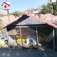 قفص حديد • عرض ٢م • ارتفاع ١٫٥م