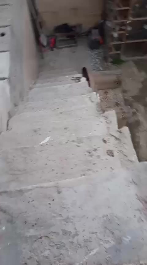 عندي بيت للبيع تجاوز مشتل شارع لمطبك قرب مجلس بلدي ثاني فرع عن شارع لعام مساحه 200متر واقع حال لبيت قاطين لجوه مسلح ولفوك سندويش لدرج خارجي تكدر سوي بيتين اني مصوره فديو واضح بيت جبير مال عائله جبيره منطقه هادئه خير من الله لستفسار اتصل على الرقم التالي ***********
