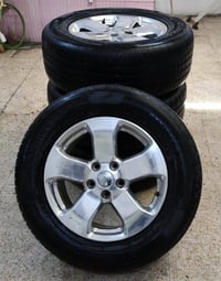 تخم ويل 18 جيب شيروكي بلادي اصلي نظيف جدا مكفول من فطر او كسر  + تخم ت...