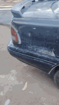 ٩٥ بغداد كير عادي مكينه مفتوح سنويه لل28 السعر ٢٧ بيه مجال
***********.  ***********
