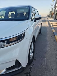 كرنفال LX • ٢٠٢٤ • وارد أمريكي
