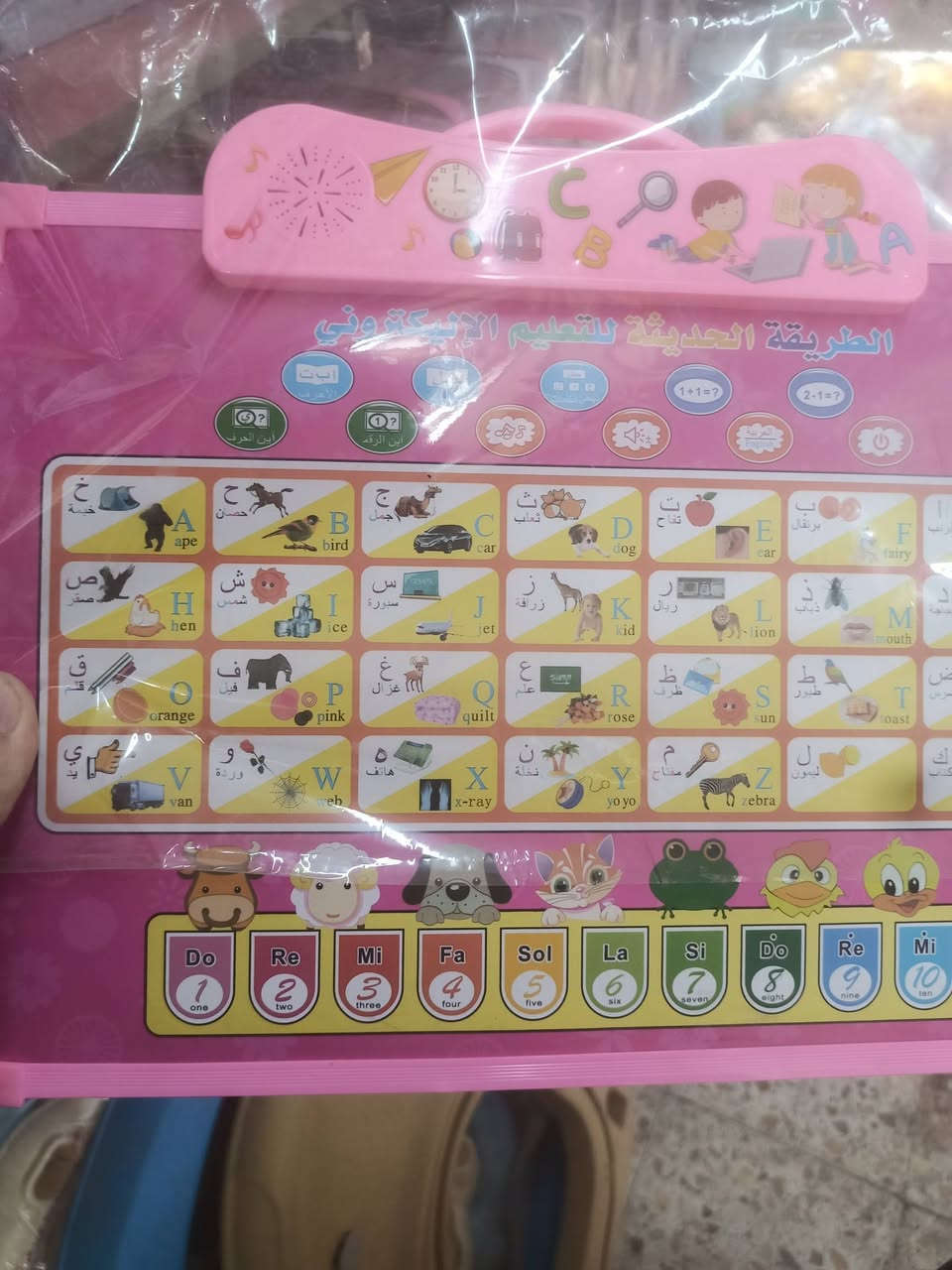 ألعاب تعليمية وترفيهيه وحجلات بايسكلات 

ديوانية دغارة شارع الجنابات مقابل أكسسوارات الغدير


**إذا كنت صاحب هذا الإعلان وتريد حذفه لأي سبب، رجاءا أرسل رسالة إلى الدعم الفني**