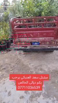 مشتل سعد العنبكي • ديالى الخالص التحويله