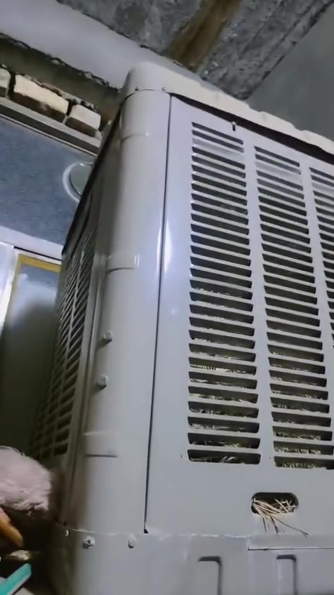 مبرده انجرال جديده استعمال كلش قليل شرط الفحص بعدهه ع جدادهه للبيع سعر175 بيه مجال قليل


**إذا كنت صاحب هذا الإعلان وتريد حذفه لأي سبب، رجاءا أرسل رسالة إلى الدعم الفني**