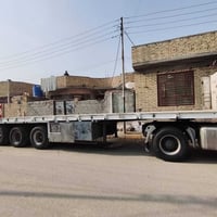 شاصي أوربي • محدثه • طول ١٢م