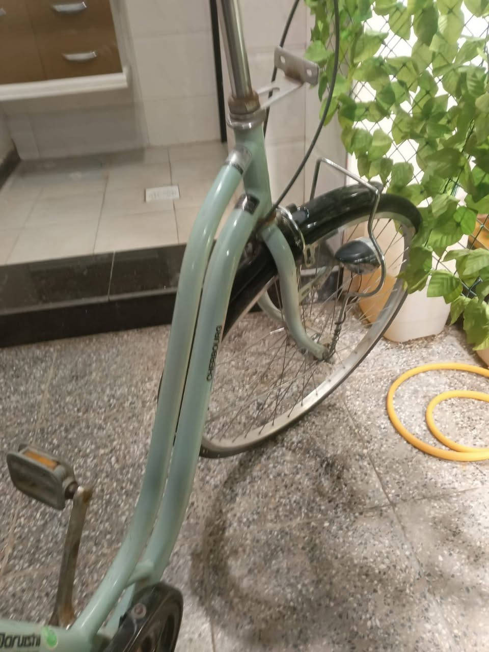 سلام عليكم بايسكل حجم ٢٦ بي عطلات بصيطة ويل بي عواج والكير عاطل عل حطتة ابيعه سعر ٨٠ مكان بغداد الجديدة


**إذا كنت صاحب هذا الإعلان وتريد حذفه لأي سبب، رجاءا أرسل رسالة إلى الدعم الفني**