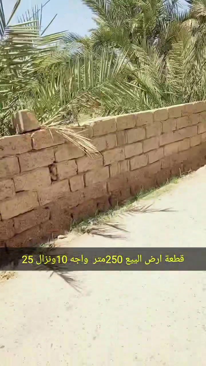 قطعة ارض للبيع 250متر واجه 10ونزال 25  ماء كهرباء تبليط  الموقع الدوره البوعيثه  قرب جامع التوبه  تبعد عن الشارع العام 30متر  سكن فقط   من صاحب الارض مباشر السعر 75مليون وبيه مجال
***********
قطعة ارض للبيع 250متر واجه 10ونزال 25  ماء كهرباء تبليط  الموقع الدوره البوعيثه  قرب جامع التوبه  تبعد عن الشارع العام 30متر  سكن فقط   من صاحب الارض مباشر السعر 75مليون وبيه مجال
