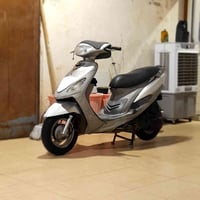 ماكس منغولي • شغالة • ذيل ناقص