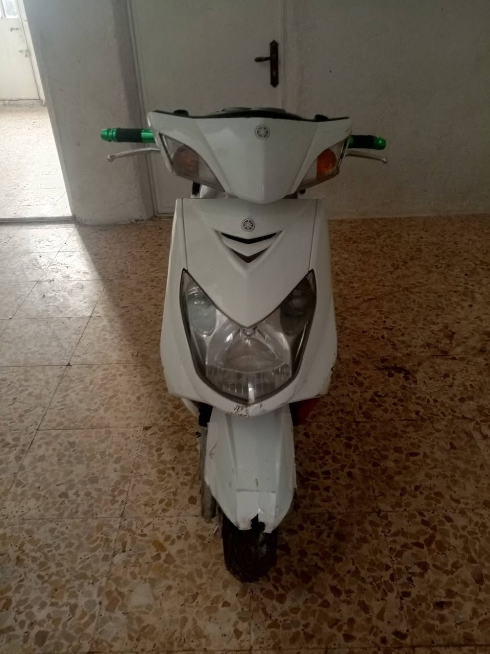 سلام عليكم سكنس فحل للبيع سعر 550بيه مجال 📞🫵 ***********
