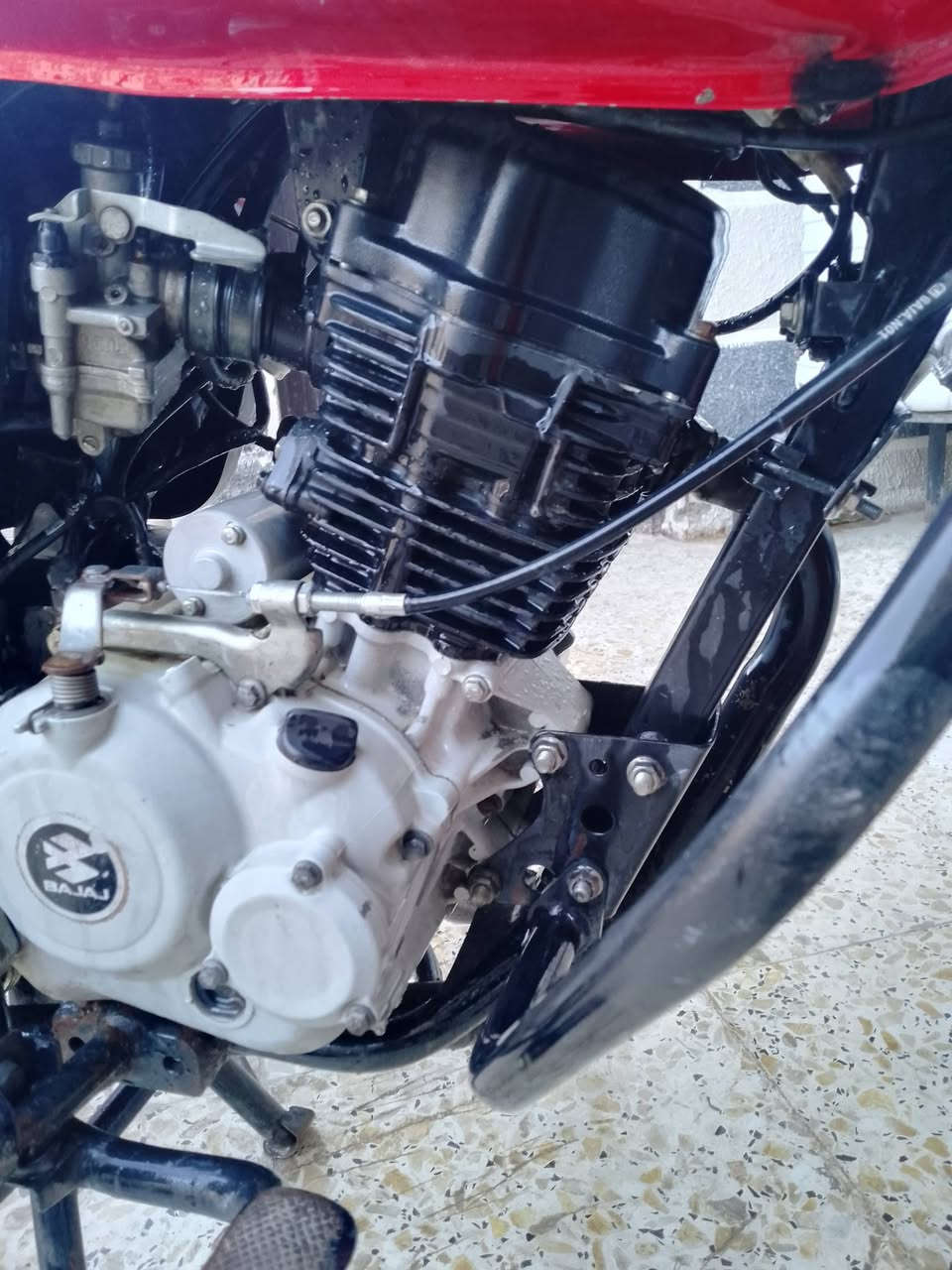 السلام عليكم بوكسر للبيع  دراجه نظيفه فول مواصفات
تجفيت  شركه جديد ما صار لها شهرين 

مكان بغداد الحسينيه دراجه بدون اوراق 

بس مكاتبه مكفوله من السرقه كهرباتك كلها شغاله دراجه ما بيها نقص بس الدوشم الكشن 

سعر 700 ابيها مجاني 
هذا رقمي***********
