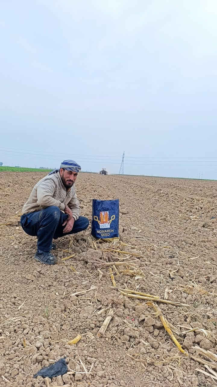 بدء موسم زراعة الذراء الصفراء للموسم الربيعي والذي يتوقع ان يكون هذا الموسم من افضل المواسم لفلاح الذره لغياب منافسة المستورد وارتفاع الضرائب ذرة فرات عن تجربة انتاج وفير ونبات غزير ومن الله التوفيق


**إذا كنت صاحب هذا الإعلان وتريد حذفه لأي سبب، رجاءا أرسل رسالة إلى الدعم الفني**