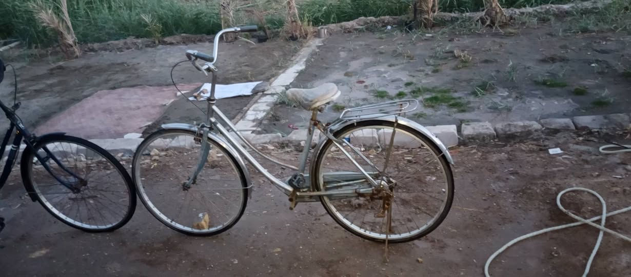 سلام عليكم بايسكلات 2 للبيع سعرهن 70


**إذا كنت صاحب هذا الإعلان وتريد حذفه لأي سبب، رجاءا أرسل رسالة إلى الدعم الفني**