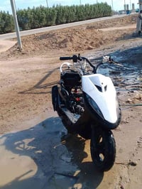 ماكس عدله • معدل بوشه • ٤٩