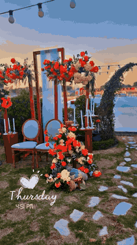 شاليه الفهد   بغداد _الدورة_البوعيثه يمتاز بإطلالة مميزة على نهر دجلة ...