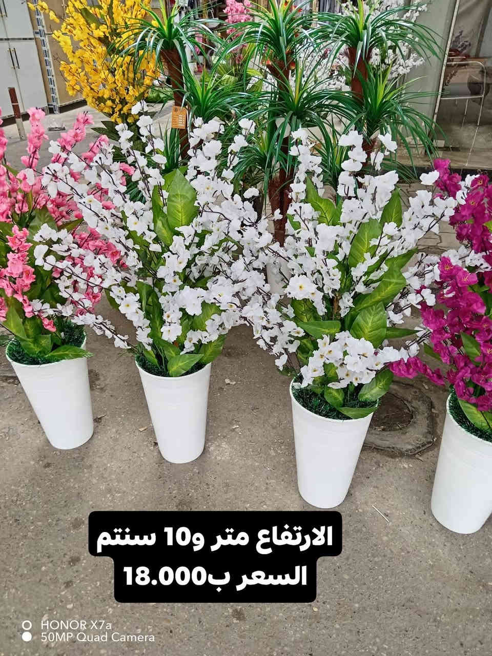 تحياتنا_الكم_زبائنا_الكرام
#محلات الربح البسيط ***********
#فلوجه خلف الحديقه العامة قرب جمعيه غصن الزيتون
#كلشي رخيص بسعر الجملة
#متوفر لدينا أي شيء يخص المطبخ
#توجد لدينا خدمة توصيل

#الفلوجة #الفلوجه #الانبار #الانبار #فلوجيين_fallujeen #اكسبلور_explore #اكسبلور_فولو #اكسبلور_فولو #العراق #انبار
#الفلوجة
#العراق
