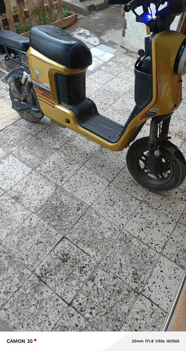 السلام عليكم
بايسكل شحن للبيع موديل 2025 6 بطاريات وبي بك صناعه بغداد مثل مموضح

 بالصورة ابيعه ع حطته ب 400 وبي مجال للشراي 
وبي فطور قليله مموضحه بالصور 

للستفسار ***********
