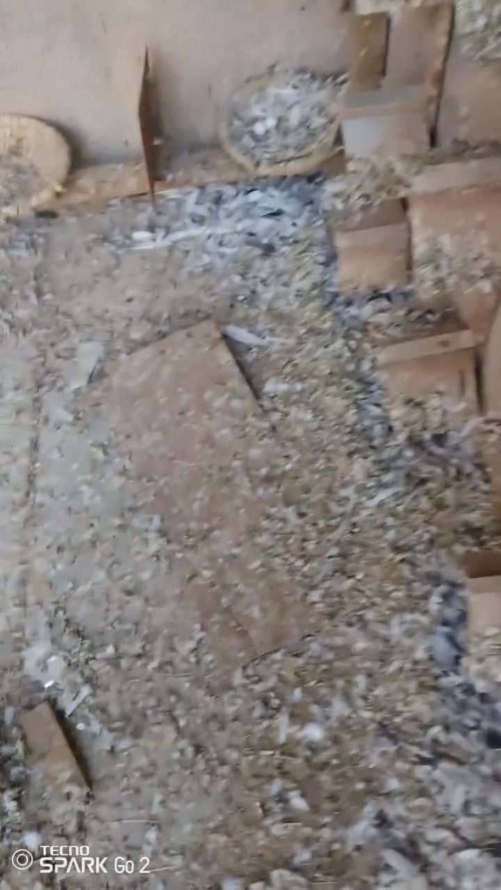 سلام عليكم نشتغل تنضيف انغاض كلشي نشتغل شغل نضيف او فول ال عنده يرسلني خاص


**إذا كنت صاحب هذا الإعلان وتريد حذفه لأي سبب، رجاءا أرسل رسالة إلى الدعم الفني**
