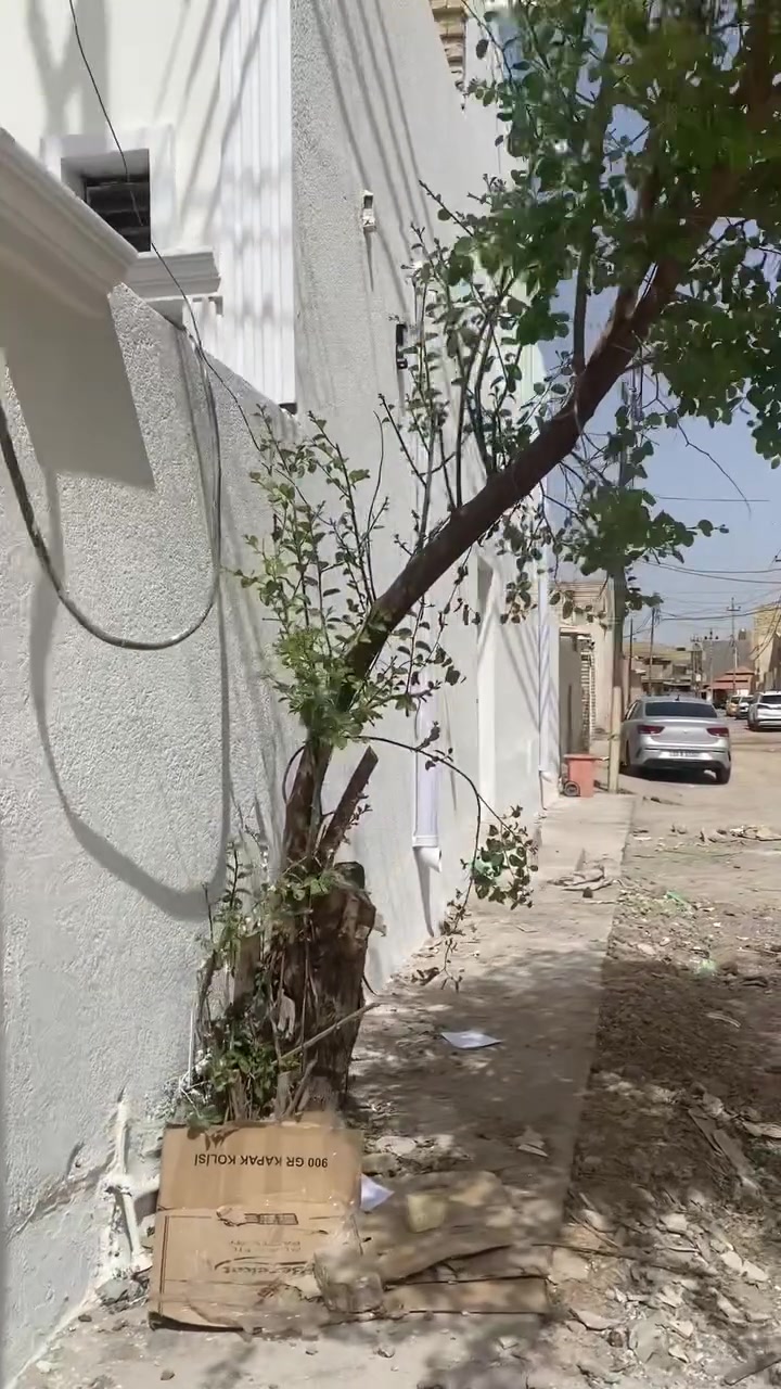 السلام عليكم
بيت للبيع      ركن زراعي   سند  ٢٥   حق التصرف
بدايه دوانم دور النفط  يبعد الف متر على بيوت النفط موضح  بالفيديو 
 المساحه ١٠٥ متر بيت مربع  ركن على فرعين 
مكانه مرتب والجيران بعد ارتب يحتوي الطابق الاول على استقبال ومطبخ  وصاله  وغرفه وصحيات والطابق الثاني صاله وغرفتين عوزهم فقط سقف  البيت عكاده بس شغل يخبل ونضيف وتجي وتشوفه

وخدمات المنطقه كامله مجاري كهرباء  ماء جديد  وتبليط عن قريب وضعو حجر الاساس عن قريب راح تتبلط

ملاحظه 🔴🔴احتمال شهر الجاي راح تتطوب هيج سمعت 

الاتصال   ***********
والشخص الي ميعرف الاسعار وميعرف بالمنطقه لا يتصل ولا يراسل ويظل يشمر كلام مو حلو
