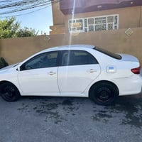 كورلا ٢٠١٣ • وارد امريكا • ديالى
