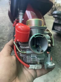 تزويد سكنس وثعلب مكاني : بغداد-الكاضميه   للاستفسار : 07731723133 للاس...