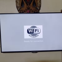 فيستل • ٥٠بوصة • دش داخلي