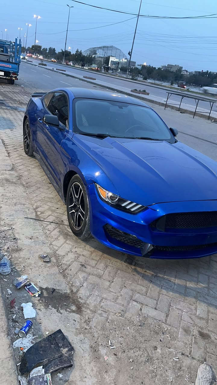 جمعة مباركة 💙
السلام عليكم موستنك 2017 ايكو بيها 4 قطع صبغ نظيفة السيارة وعلى ايدي رقم شمالي يرادلها ترتيبات بسيطة عارضها ب110 وبيها مجال مكاني بغداد حي الجهاد 

***********
