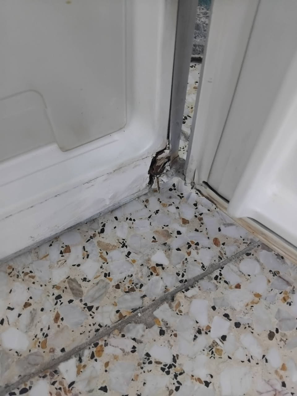 ثلاجة fox حجم 24 قدم سعر 200 بغداد الزعفرانية


**إذا كنت صاحب هذا الإعلان وتريد حذفه لأي سبب، رجاءا أرسل رسالة إلى الدعم الفني**