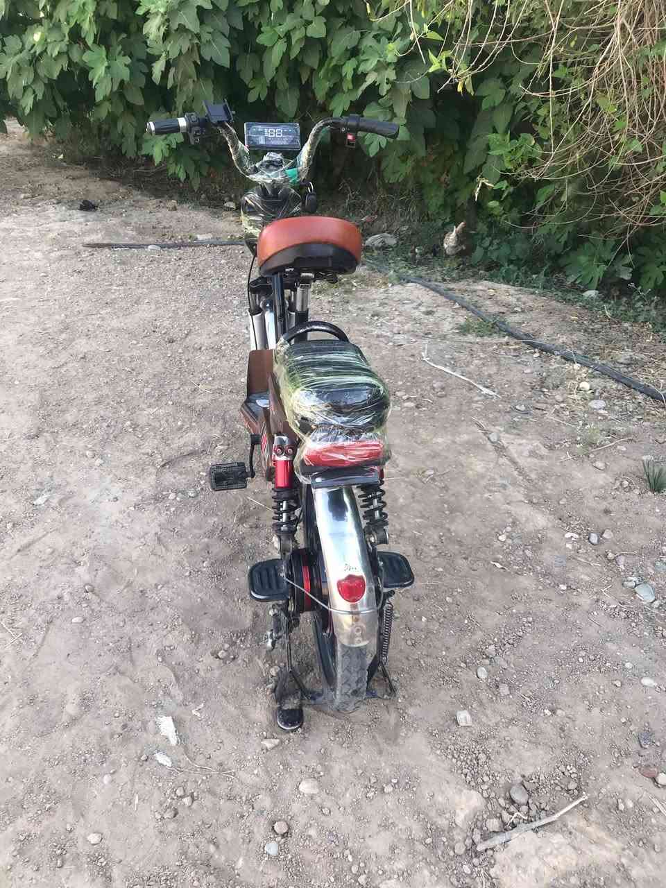 باسكل شحن بدون بطاريات سعر 150


**إذا كنت صاحب هذا الإعلان وتريد حذفه لأي سبب، رجاءا أرسل رسالة إلى الدعم الفني**