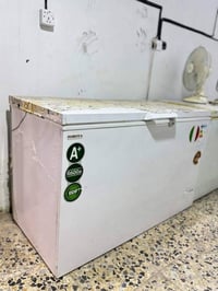 مجمدة • تجميد فول • حجم كبير