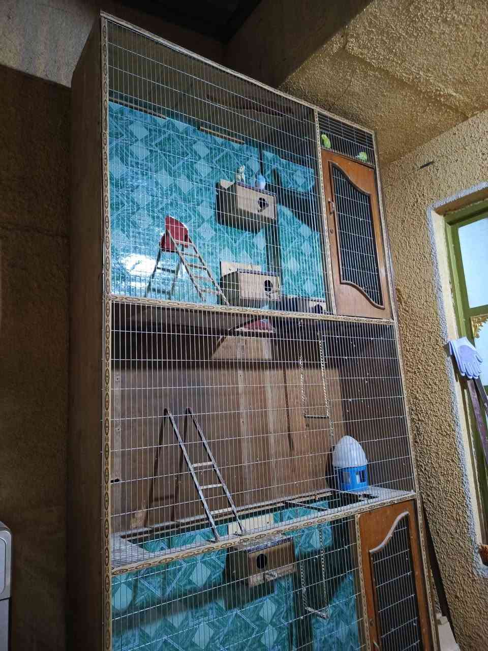 قفص مال طيور الحب للبيع مكاني مدينه الصدر


**إذا كنت صاحب هذا الإعلان وتريد حذفه لأي سبب، رجاءا أرسل رسالة إلى الدعم الفني**