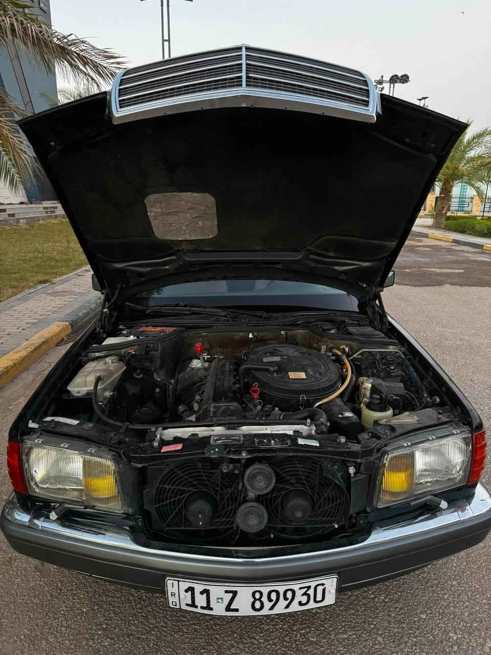فقط للبيع.💪W126🧿300se 🇩🇪 وارد خليجي  أصل 🔥💥🔥
اللّهــمـ صـــــل علــى محـمــــد💎
                                  
فخامه للبيع  واحد من أجدد رئاسي 
في العراق تحفه بمعني كلمه
حجم (300se) فول مواصفات باب  قصير بلادي لون  أسود  وارد خليجي  موديل1990 بلادي رقم بغداد انگليزي.
1-كروز سرعة.
2-دبل هورن دبل فیتبمب. 
3-أريل كهرباء. 
4-سلايت طكتين .
5-برده كهرباء.
6-كشنات كهرباء .
7-دركة ستيرن أرباك و كهرباء. 
8-جام بيبان 4كهرباء .
9-غرفة مخمل رصاصي  و صاجات مشطب بلاد.
10-فخامه ماشيه 150 الف 
حقيقي 🔥 بشرط.
بردات خلفية بلاد 

-اثنين سيوجات شركه ويا جلد سويج شركة بلادي
وأتساب او اتصال 
*********** مكاني نجف
