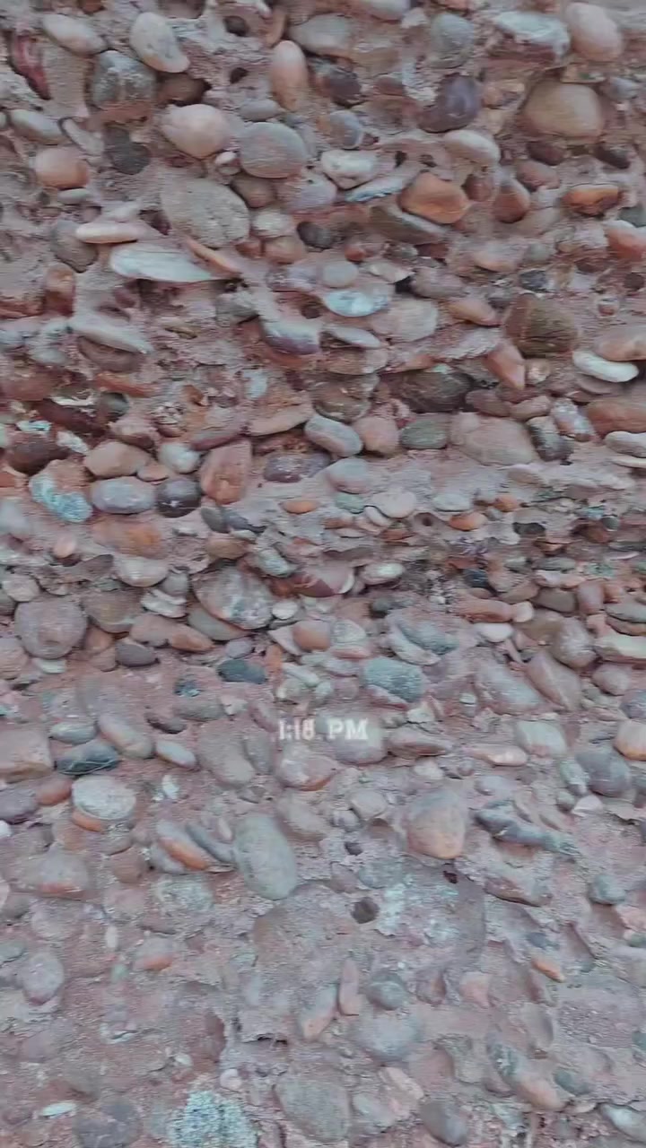 ✨شركة أرض السلام للسفر والسياحة ✨
      ✨تقدّم لكم سفرة عيد الفطر المبارك✨
رحلة راقية • تنظيم مميّز • أجواء عائلية آمنة 🤍
════════════════════
🌟 إلى محافظة صلاح الدين
🏰 مدينة تكريت
جمال الطبيعة… هدوء المكان… وكرم أهل المنطقة 🌿✨
════════════════════
📍 أماكن الزيارة:
🌿 مزرعة الحاج عامر أبو أدريس
🏖️ منتجع بلاج عمران السياحي
════════════════════
👨‍✈️ كادر سياحي متميّز
خبرة عالية • تنظيم احترافي • متابعة مستمرة طول الرحلة 

✨🙋📸 مُصوّرة خاصة مرافقة للرحلة
لتوثيق أجمل لحظاتكم وذكرياتكم
صور احترافية • لقطات عفوية • ذكرى تبقى 🤍✨

🚌 باصات حديثة ومكيّفة للتنقّل
راحة عالية • أمان • سفر مريح طوال الرحلة ✨

🛡️ أمان واطمئنان تام
الرحلة ضمن مناطق آمنة ومناسبة للعوائل، وراحتكم أولوية 🤍
════════════════════
⏰ تفاصيل الرحلة:
🚍 الانطلاق: 7:00 صباحًا
🕔 العودة: 5:00 مساءً
📅 ثالث يوم العيد 🎉
════════════════════
💰 السعر:
✨ النفر: 15,000 دينار عراقي فقط ✨
👶 الأطفال دون 5 سنوات: مجانًا 💝
════════════════════
📢 سآرعوا الحجز
⛔ المقاعد محدودة جدًا
════════════════════
📍 عناوينا:
بغداد – الوزيرية، مجاور مستشفى ورد الأهلي
النجف – حي ميسان، مقابل محطة وقود ريبال
---------------------------------------------
📞 للحجز والاستفسار:
***********
💬 واتساب متوفر 24 ساعة 🤍
----------------------------------------------
🌙✨ عيدكم ويانا غير
وذكرياتكم تبقى حلوة…
شركة أرض السلام للسفر والسياحة ✨
