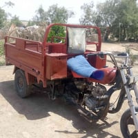 ستوته للبيع مديل 19 07833442826 السعرر خاص